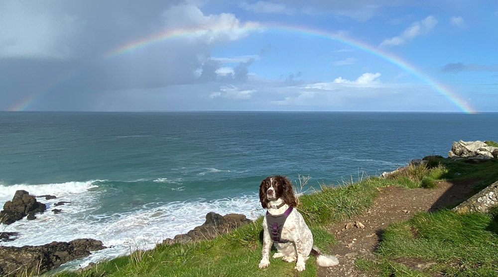 Florie and a St Ives rainbow
